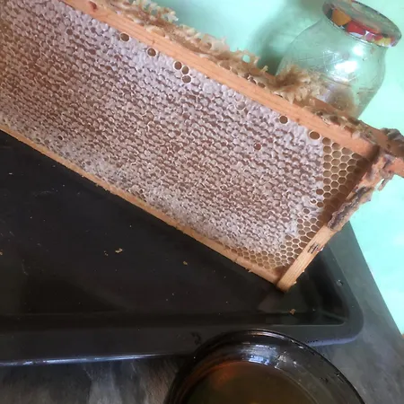 Sweet Honey 別荘